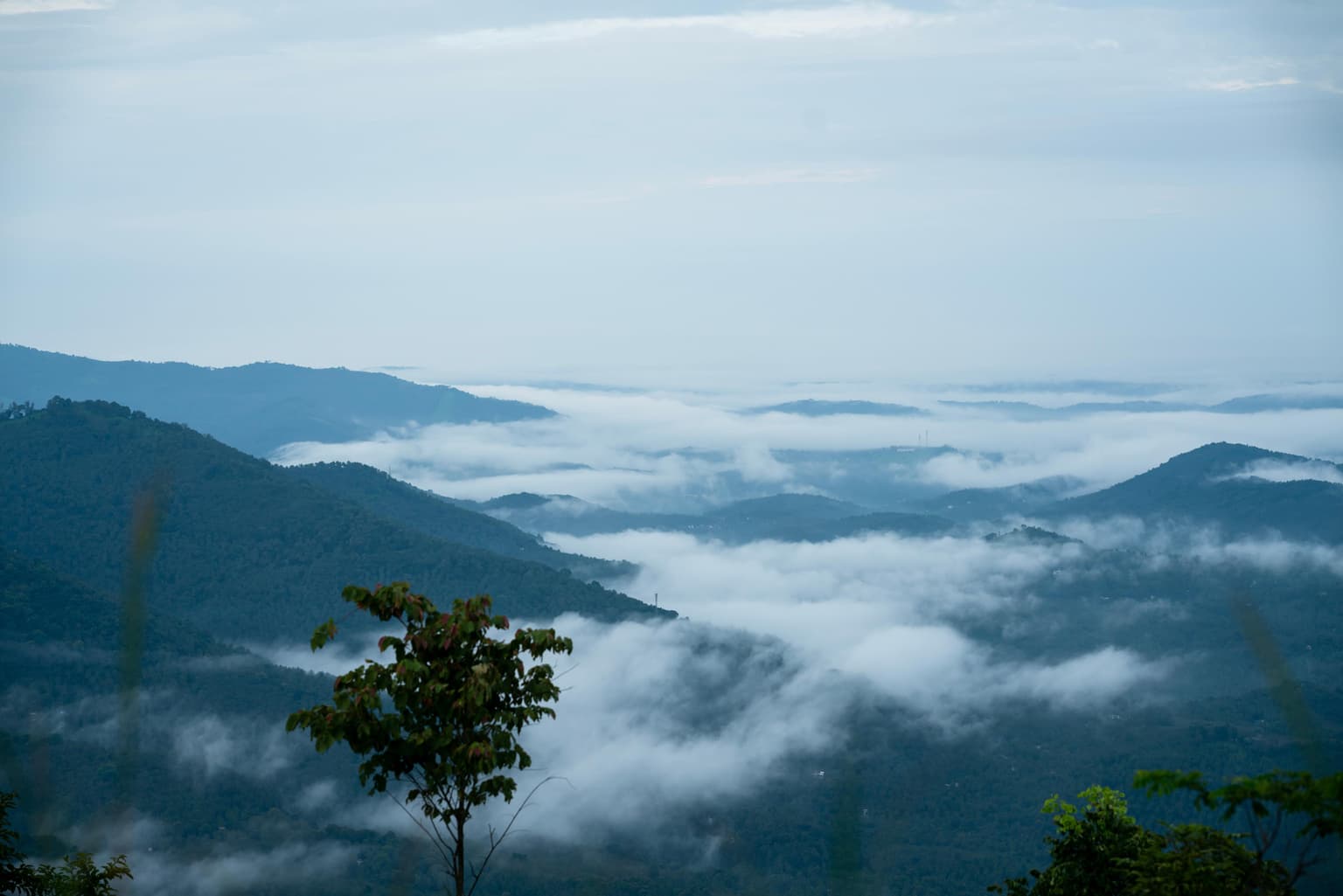Kanthari Nature